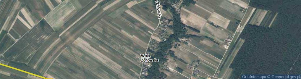 Zdjęcie satelitarne Wola Zofiowska ul.